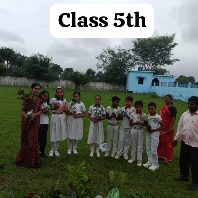 tree plantation